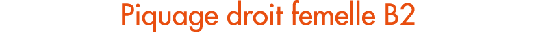 Piquage droit femelle B2